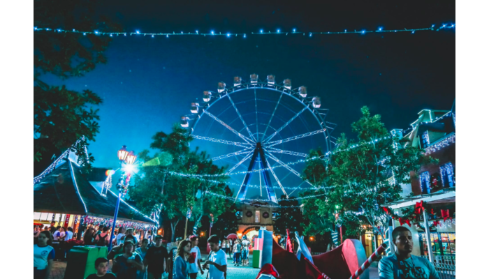 Ferris wheel at the theme park |DNAfit Blog
