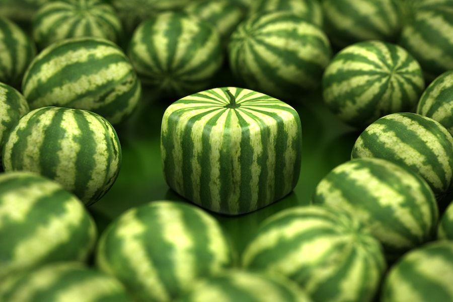 Square watermelon | DNAfit Blog