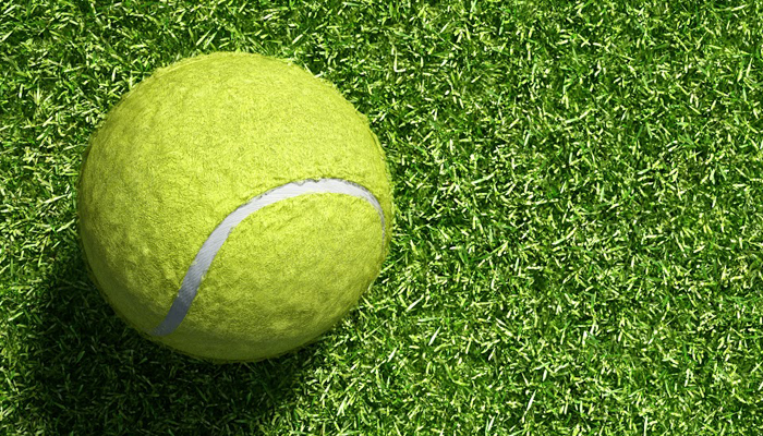 Tennis ball on grass | DNAfit