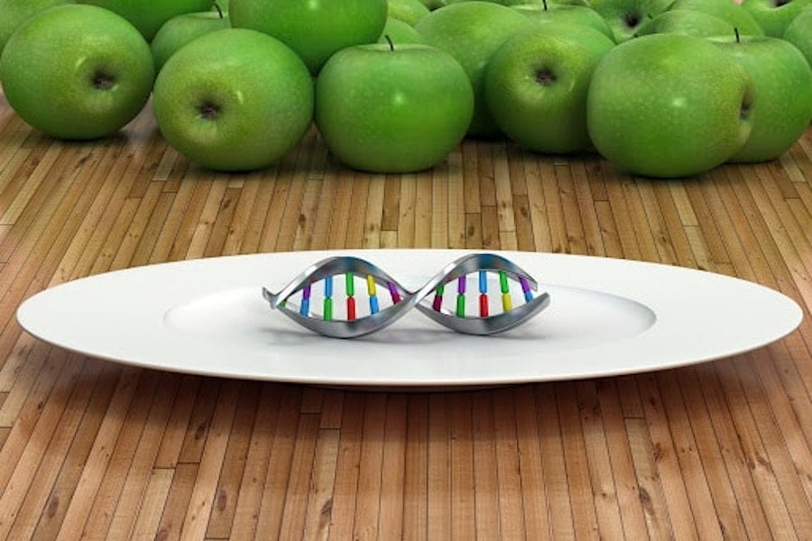 Apples helix on a plate | DNAfit Blog
