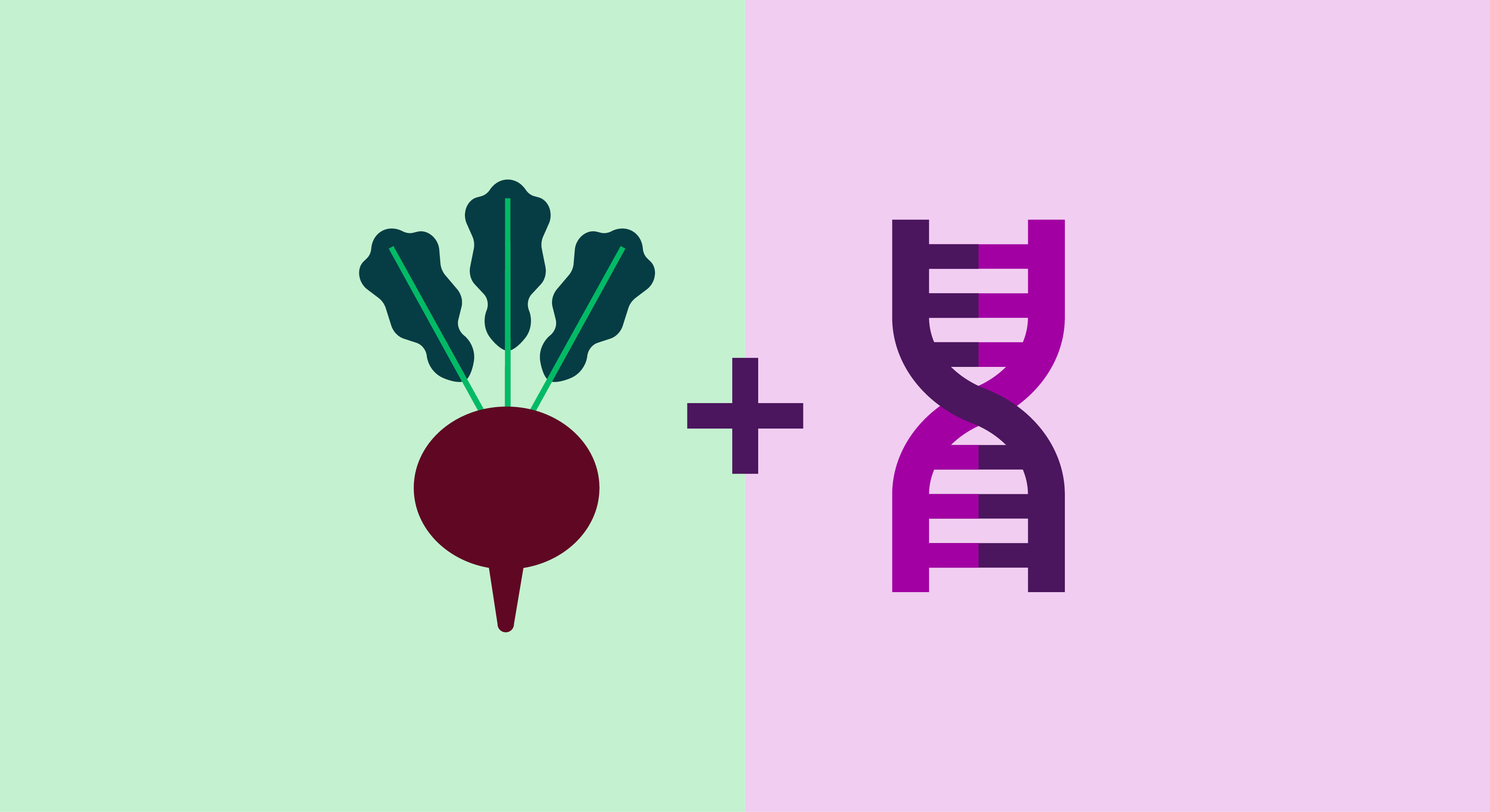 Blog headers_begginers guide to nutrigenetics-1